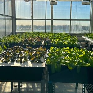 Meet your Posher, Micro_Love